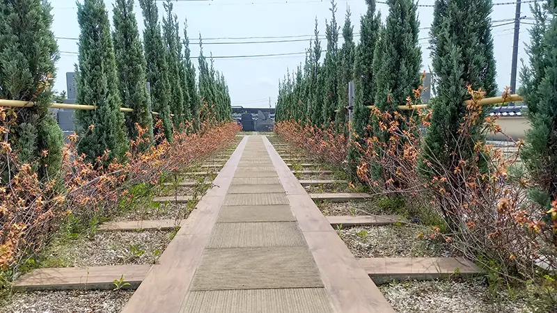 岩国市で樹木葬ができる広仏の霊園「由宇町新なぎさ霊園」