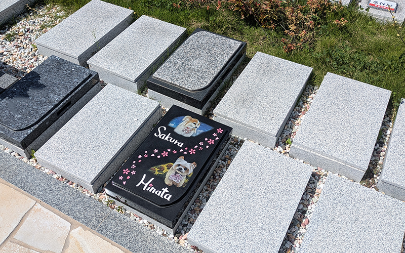 岩国市樹木葬D区画